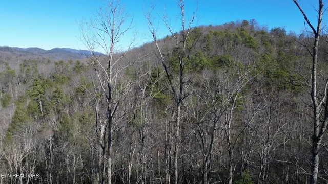 $99,900 | Lot# 6 Taylors Ridge (journeys End ) Road, Walland, TN 37886