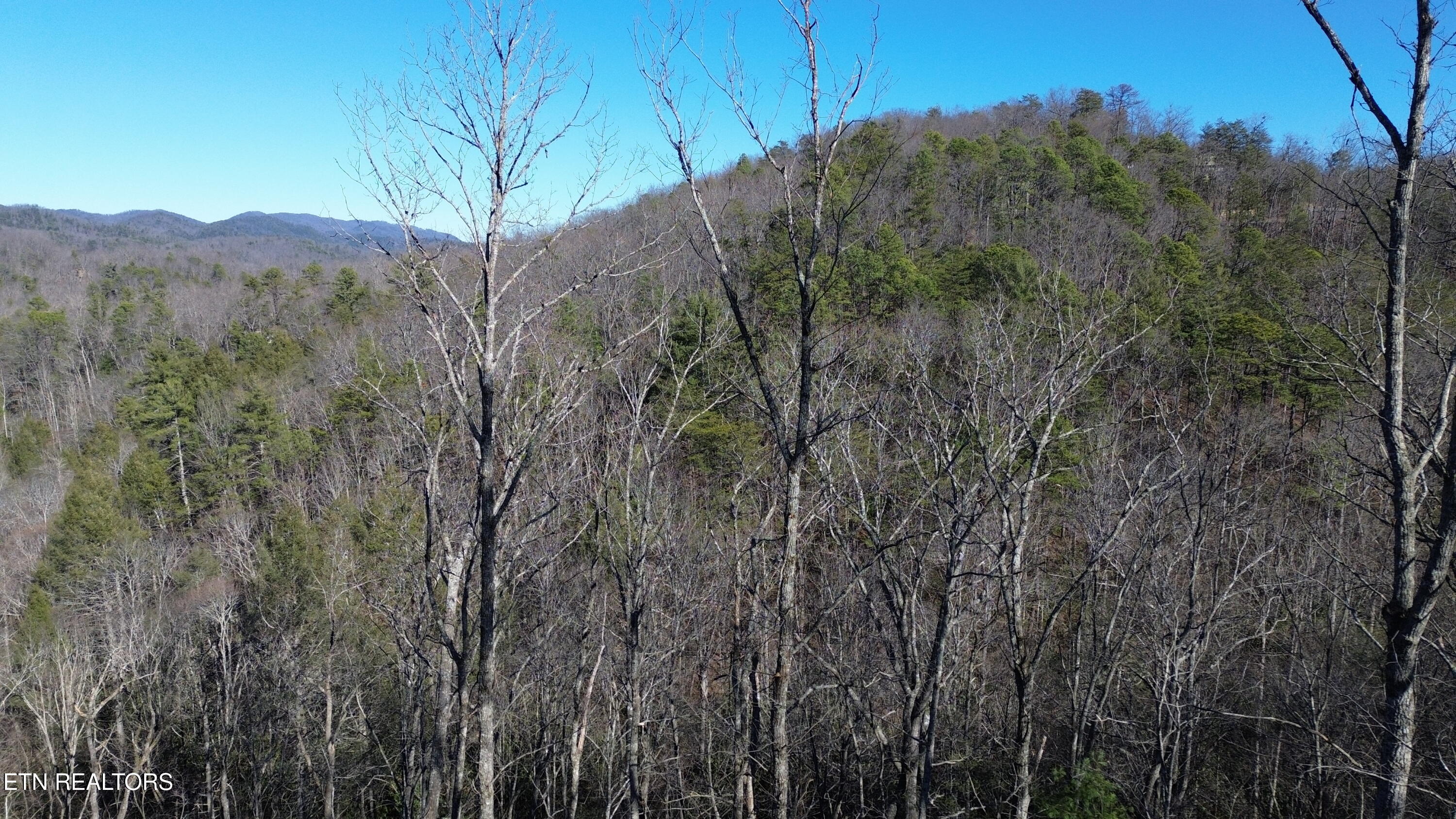 Lot# 6 Taylors Ridge (journeys End ) Road Walland, TN 37886 - Photo 28 of 32 Taylors Ridge