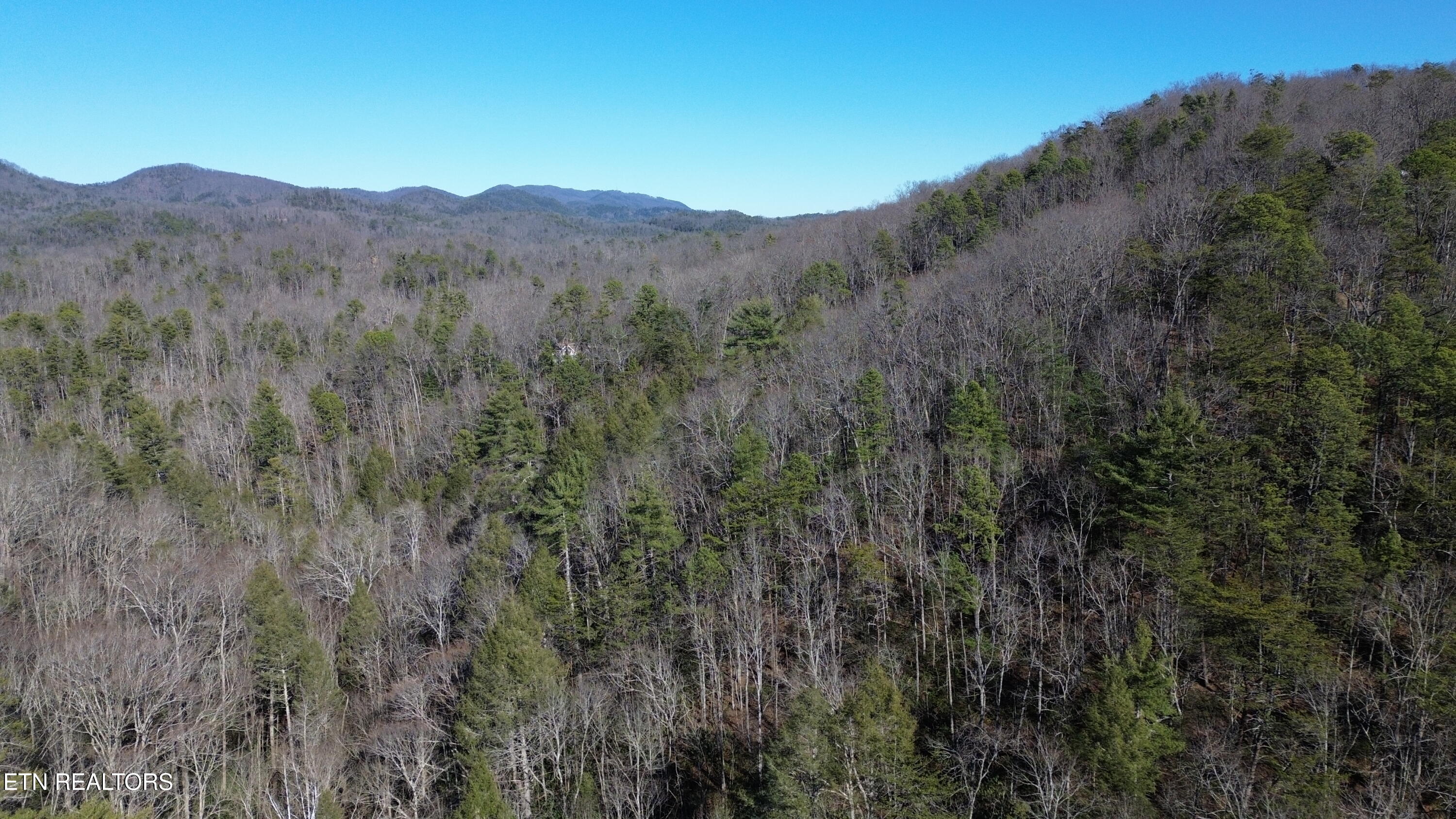 Lot# 6 Taylors Ridge (journeys End ) Road Walland, TN 37886 - Photo 30 of 32 Taylors Ridge