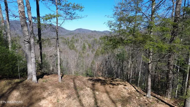 $99,900 | Lot# 6 Taylors Ridge (journeys End ) Road, Walland, TN 37886