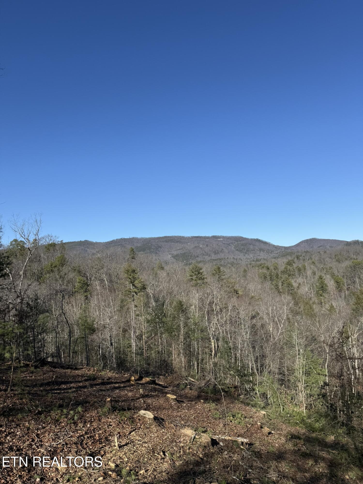 Lot# 6 Taylors Ridge (journeys End ) Road Walland, TN 37886 - Photo 9 of 32 Taylors Ridge