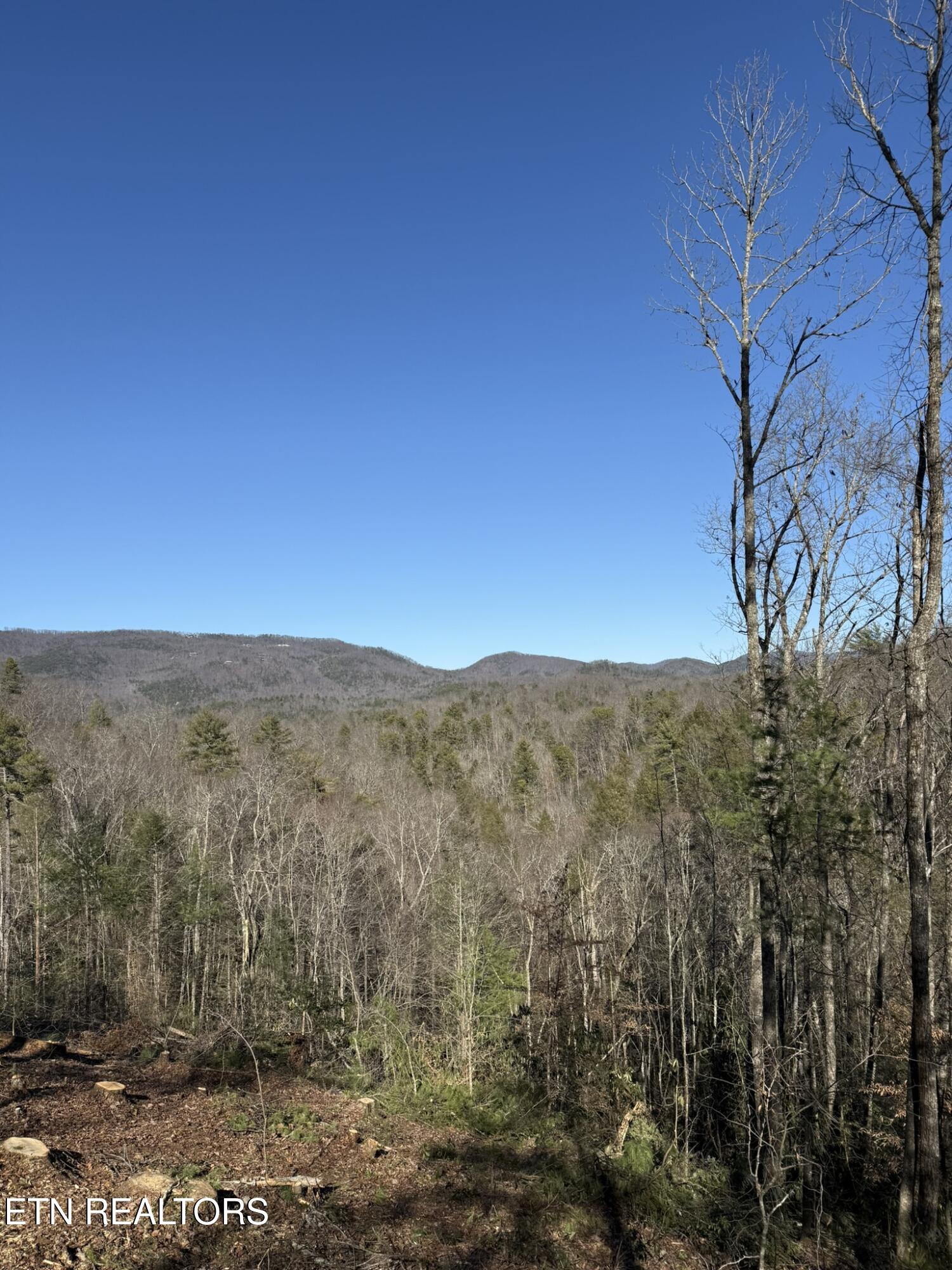 Lot# 6 Taylors Ridge (journeys End ) Road Walland, TN 37886 - Photo 10 of 32 Taylors Ridge