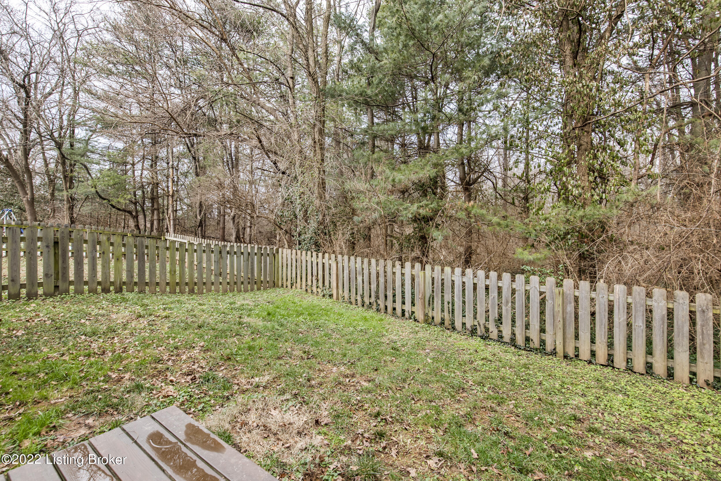 8909 Riley Avenue Lyndon, KY 40242 - Photo 33 of 34 33-rear yard