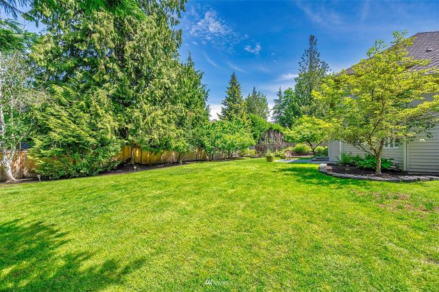 a view of a field with a tree