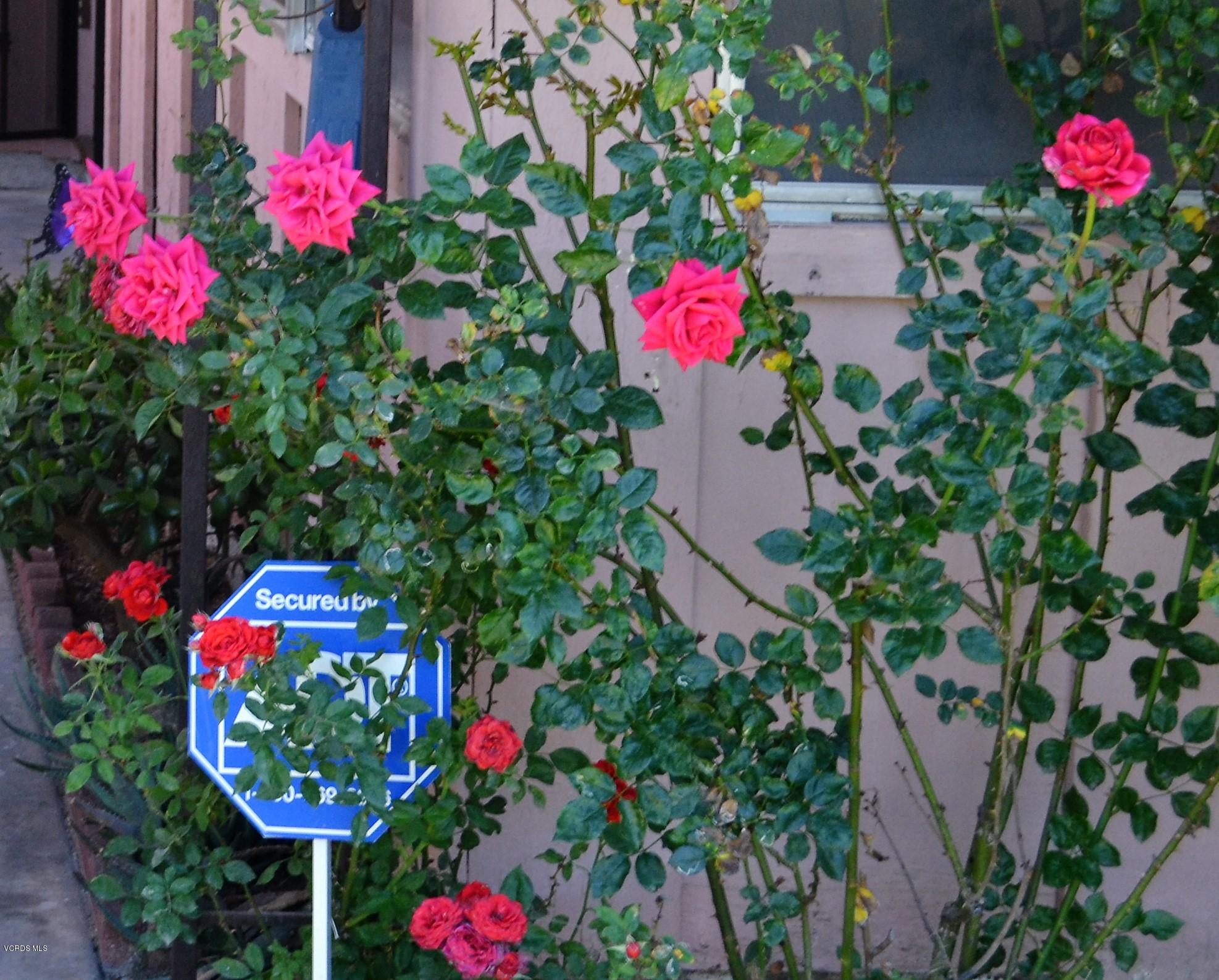 3960 Goodwin Avenue Simi Valley, CA 93063 - Photo 2 of 23 DSC_0059