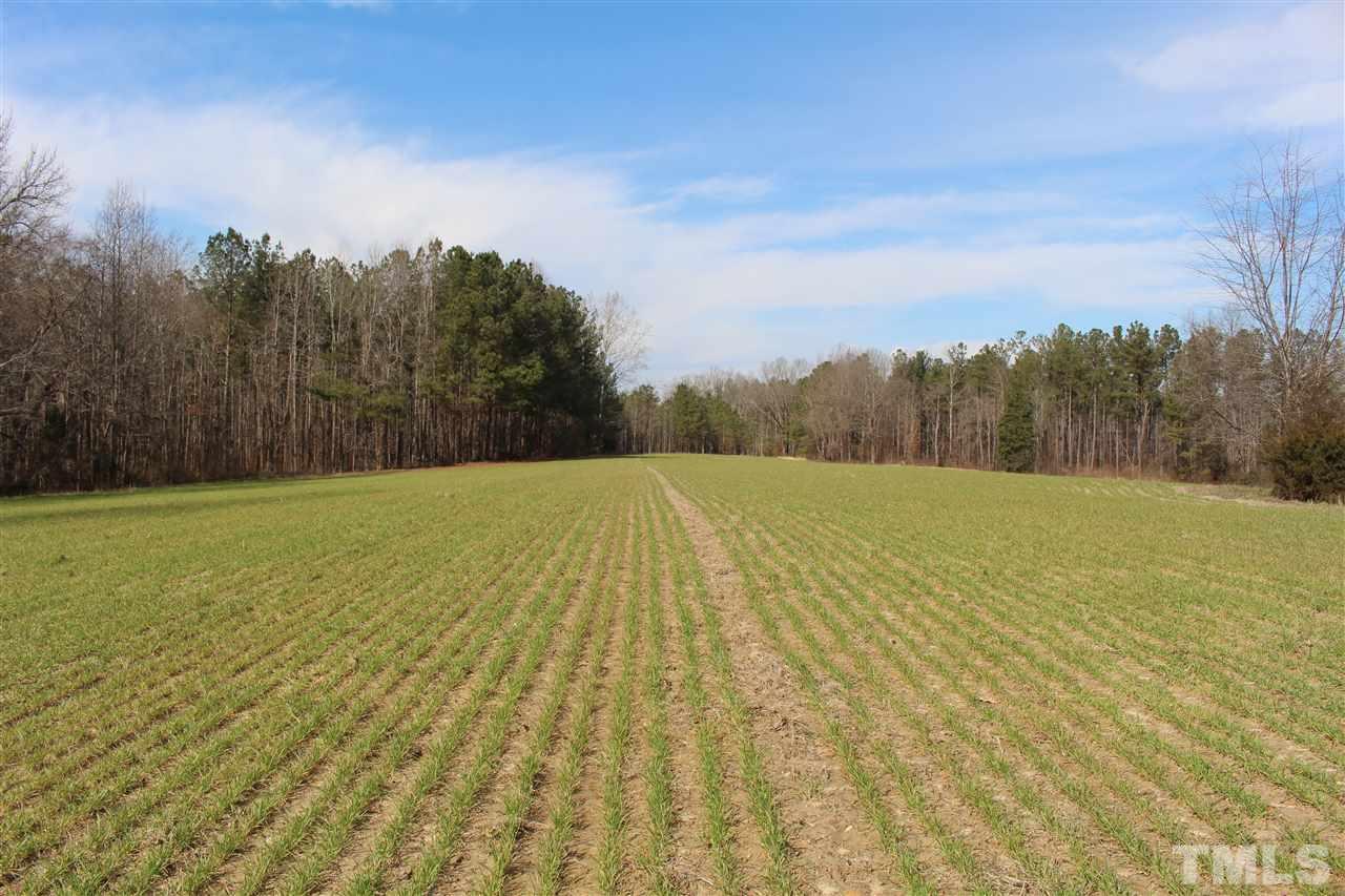 0 Hester Road Stem, NC 27581 - Photo 2 of 7 a view of a yard