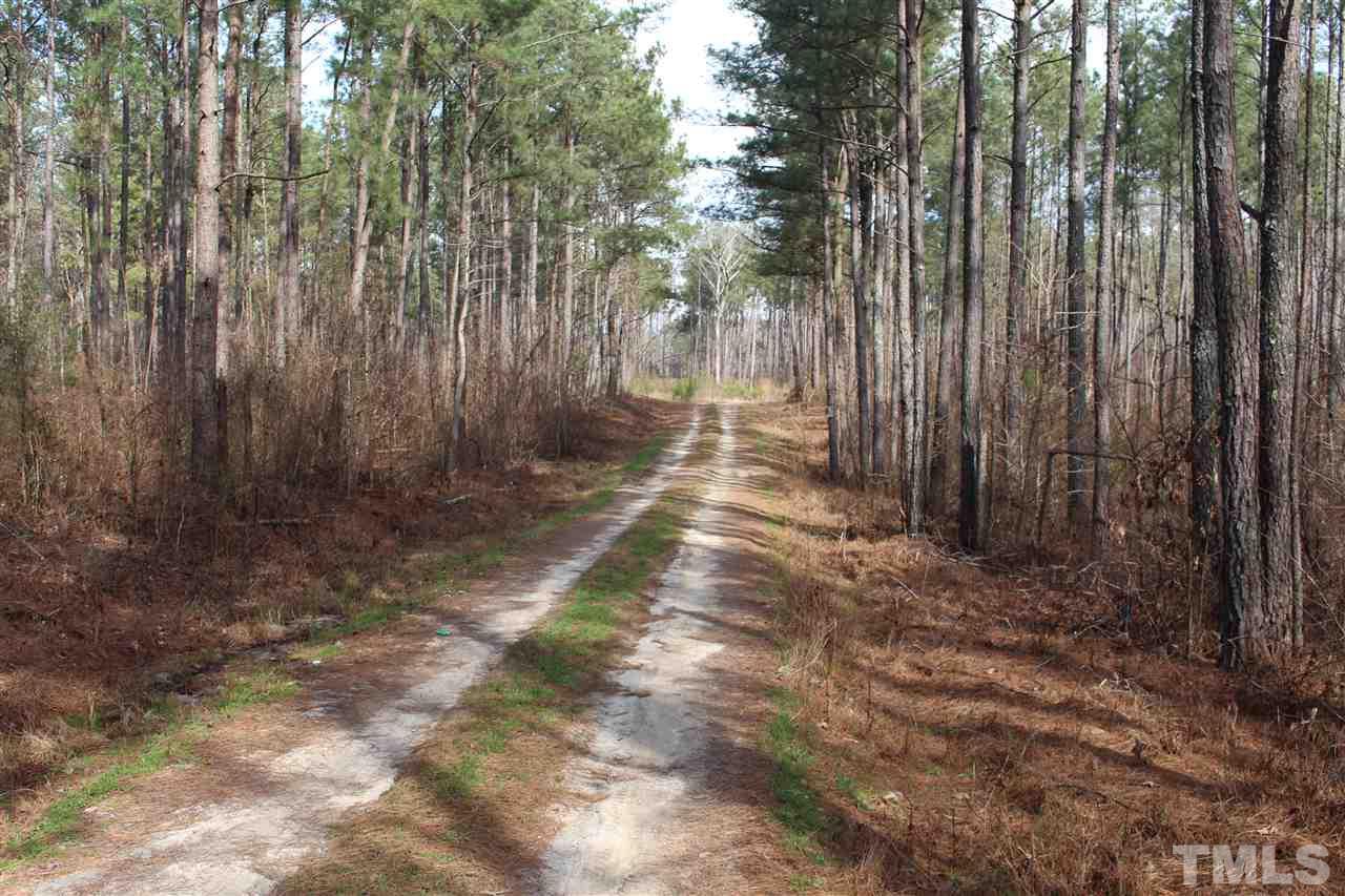 0 Hester Road Stem, NC 27581 - Photo 7 of 7 a view of backyard with green space