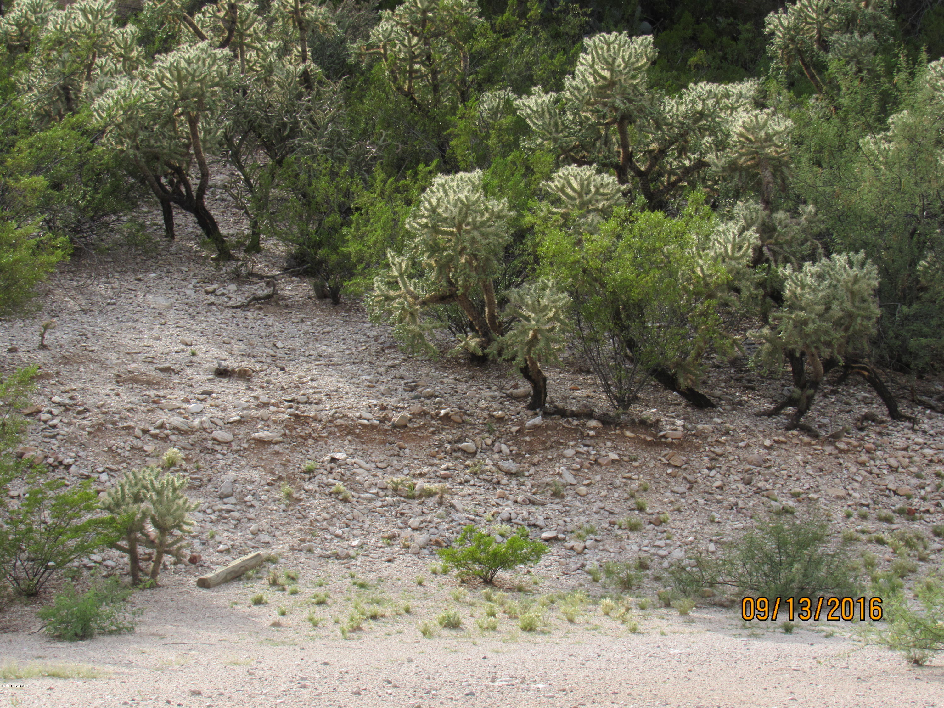 3533 North Craycroft Road Tucson, AZ 85718 - Photo 17 of 30 Gallery Image 17