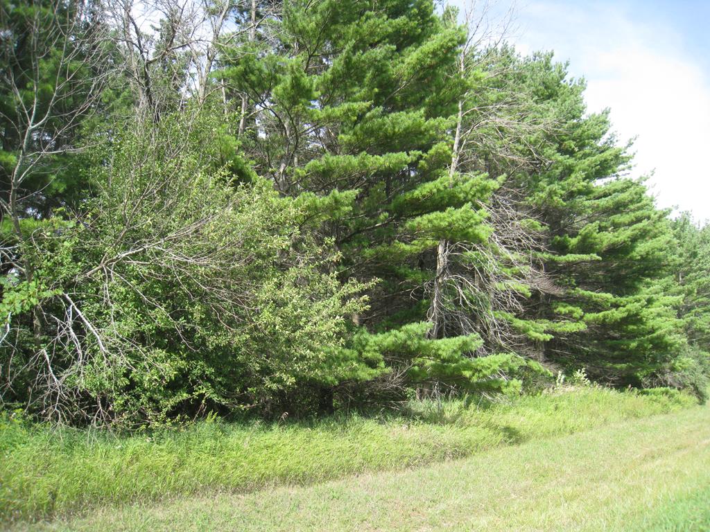Lot 10 Hainesville Road Sturgeon Bay, WI 54235 - Photo 1 of 2