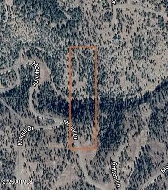 a view of a dry yard