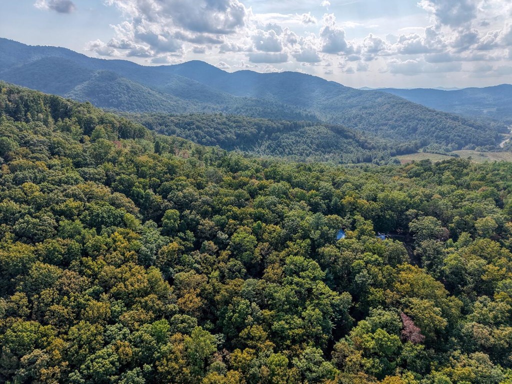 9.7-acres Winchester Creek Road Young Harris, GA 30582 - Photo 2 of 11 a view of a mountain in the distance in a field