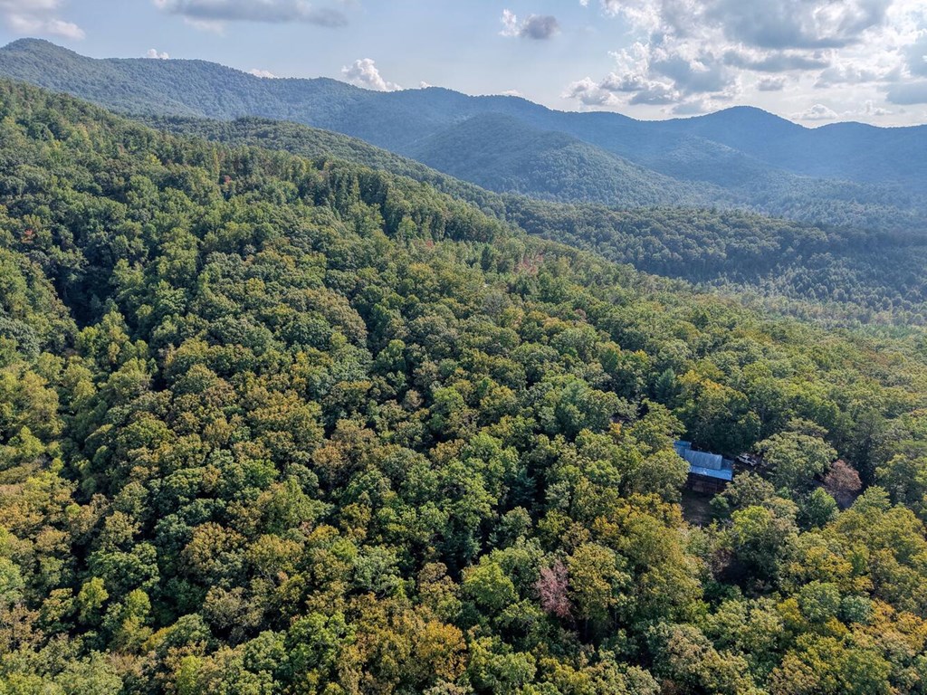 9.7-acres Winchester Creek Road Young Harris, GA 30582 - Photo 3 of 11 a view of a lush green hillside and a building