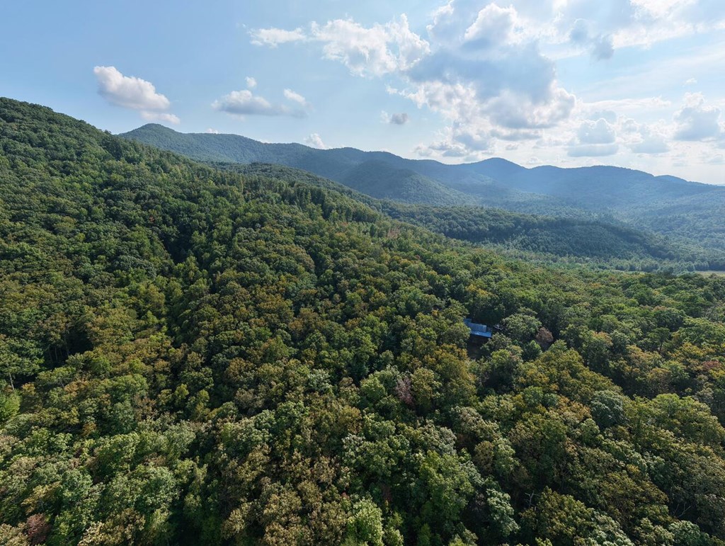 9.7-acres Winchester Creek Road Young Harris, GA 30582 - Photo 4 of 11 a view of a house with a street