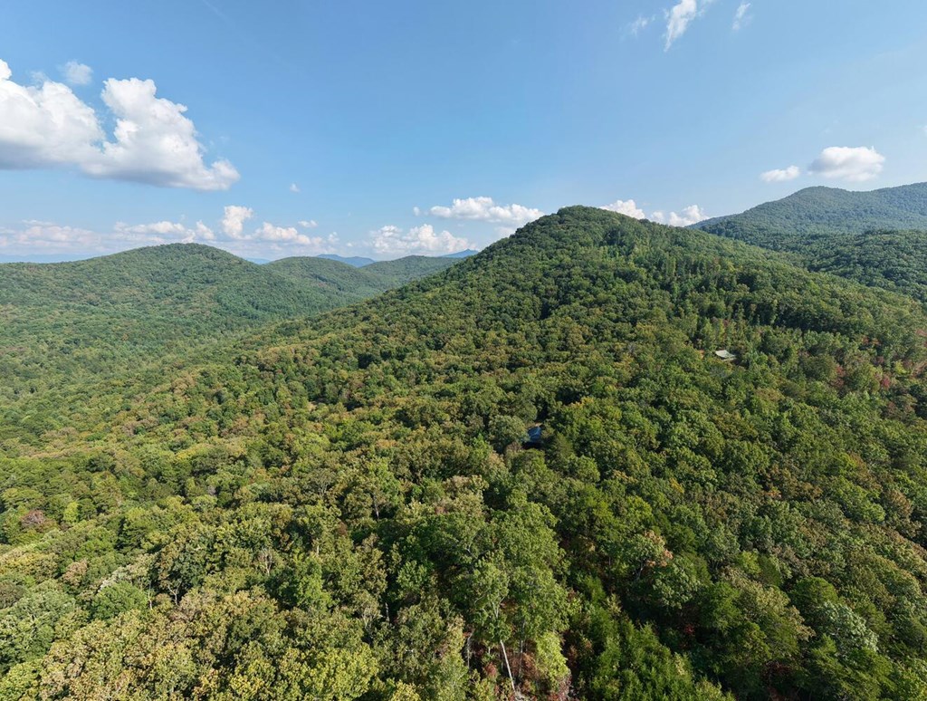 9.7-acres Winchester Creek Road Young Harris, GA 30582 - Photo 5 of 11 a view of a lush green forest with mountains in the background