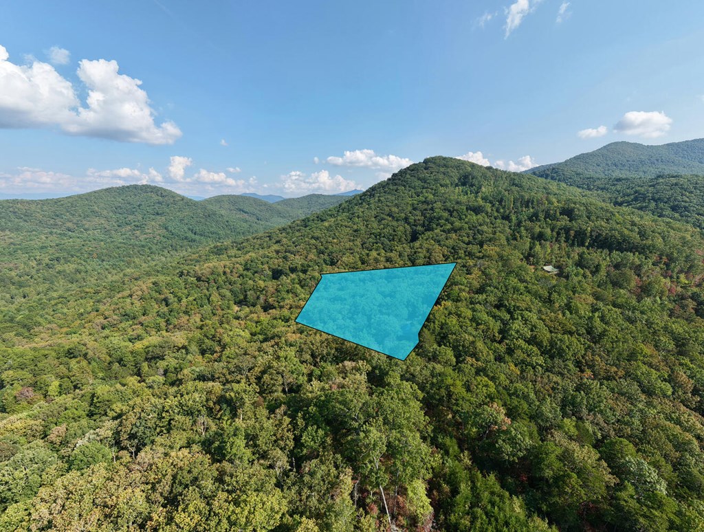 9.7-acres Winchester Creek Road Young Harris, GA 30582 - Photo 6 of 11 a view of a back yard