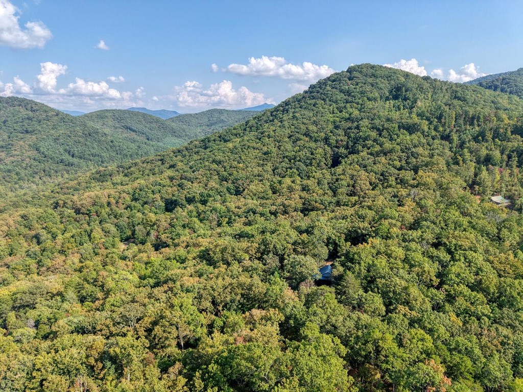 9.7-acres Winchester Creek Road Young Harris, GA 30582 - Photo 7 of 11 a view of a big yard with lots of green space