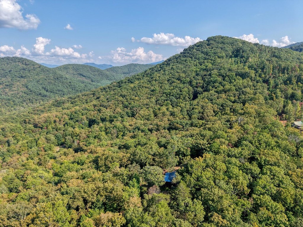 9.7-acres Winchester Creek Road Young Harris, GA 30582 - Photo 8 of 11 a view of a big yard