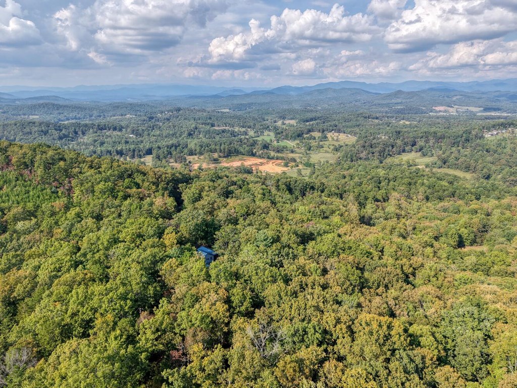 9.7-acres Winchester Creek Road Young Harris, GA 30582 - Photo 9 of 11 a view of a city with lush green forest