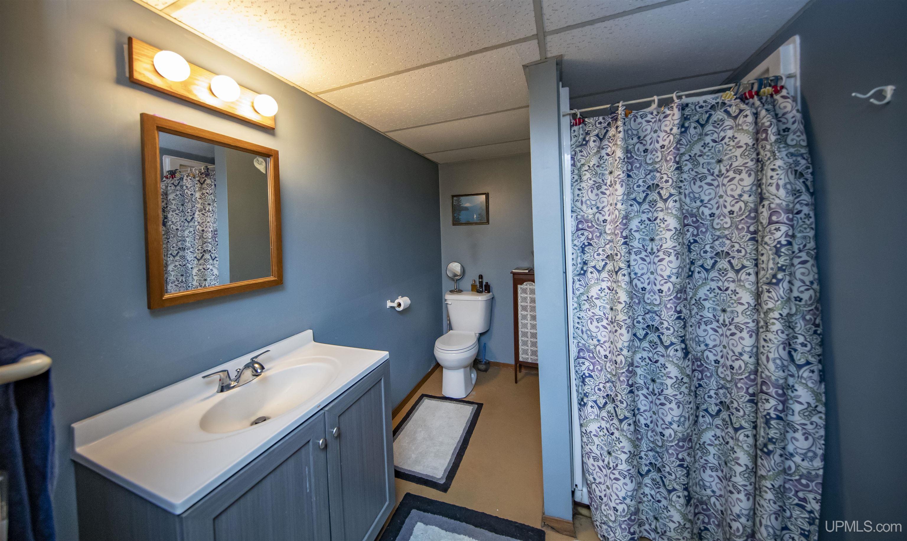 161 Camp Lake Road Iron River, MI 49935 - Photo 62 of 82