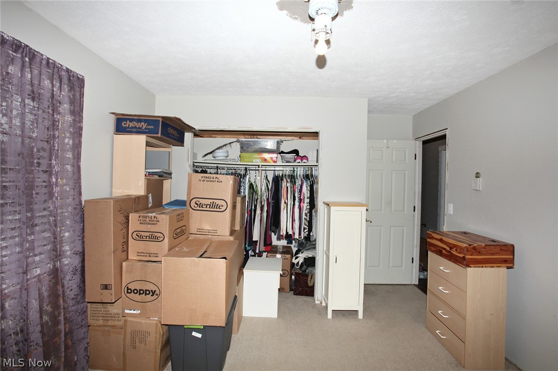 4115 Beat Road Litchfield, OH 44253 - Photo 22 of 35 Gallery Image 22