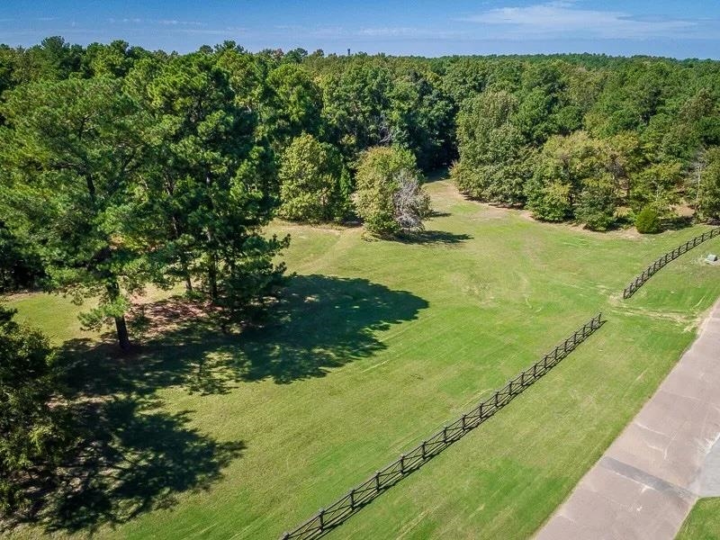305 Wickliff Creek Road Eads, TN 38028 - Photo 6 of 21