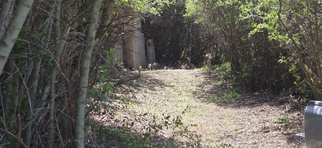 38 Creek Road Julian, CA 92036 - Photo 10 of 16 a view of a yard with plants and trees