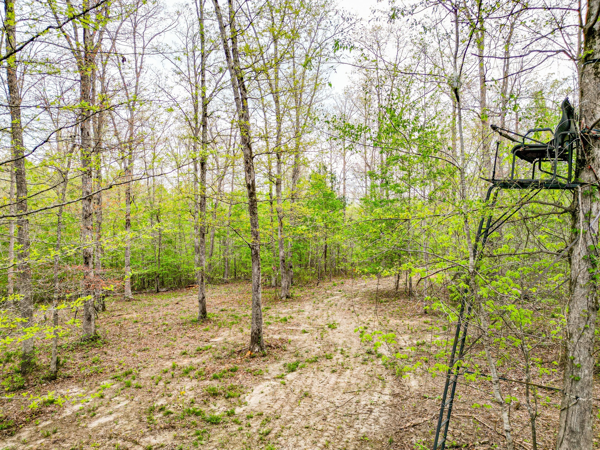 920 Mason Bates Bend Road Centerville, TN 37033 - Photo 70 of 82 Gallery Image 70