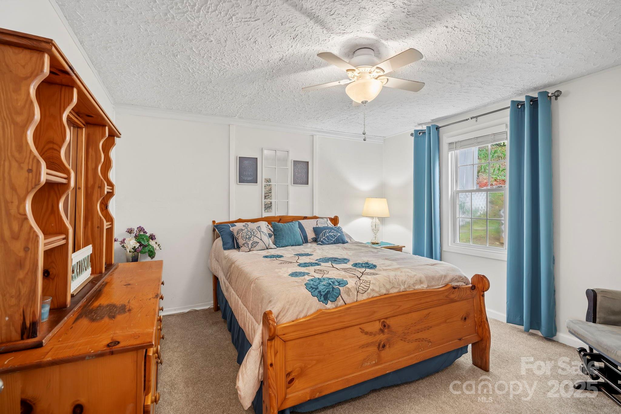 69 Devlin Street Canton, NC 28716 - Photo 28 of 44