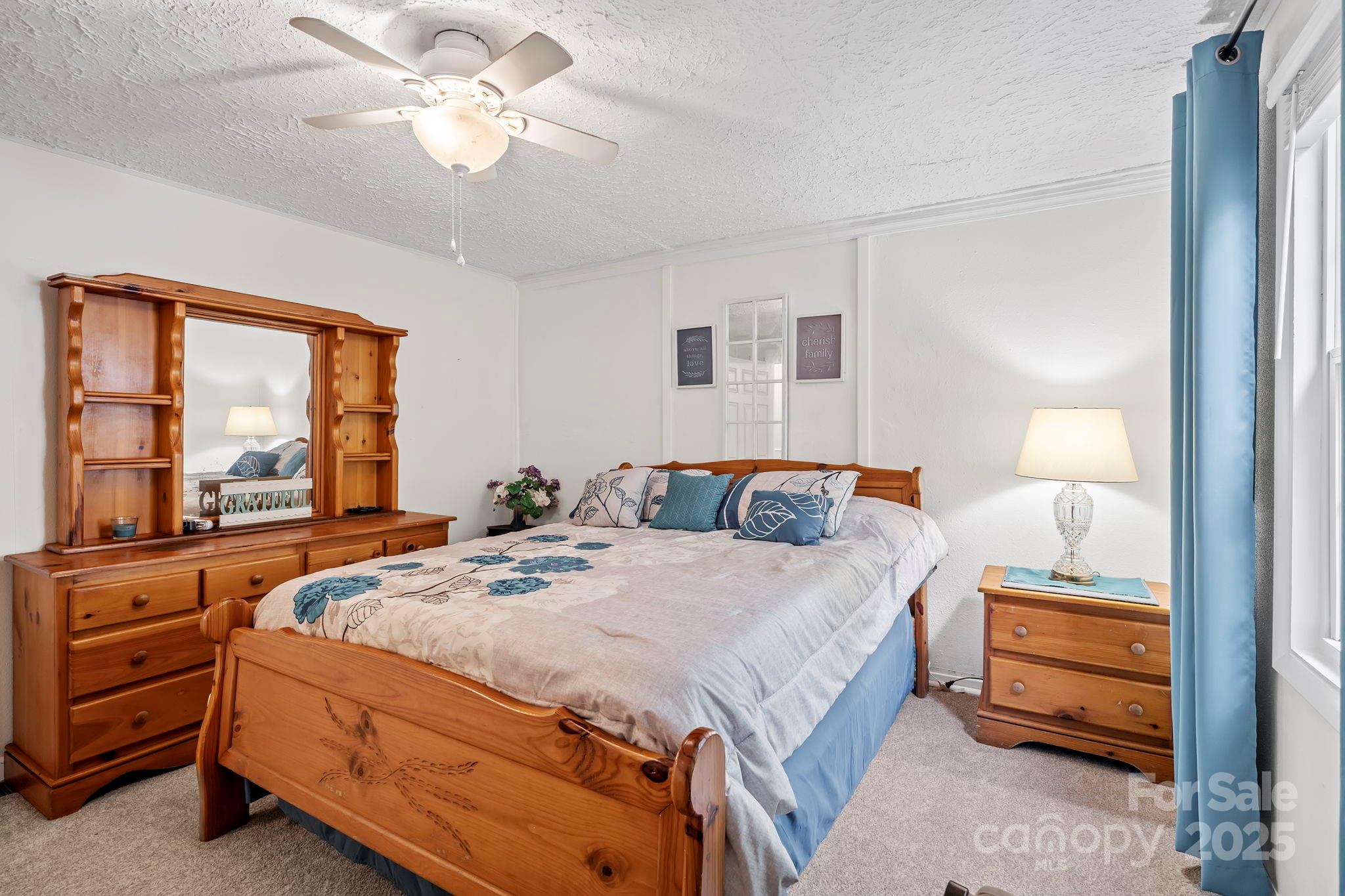 69 Devlin Street Canton, NC 28716 - Photo 29 of 44