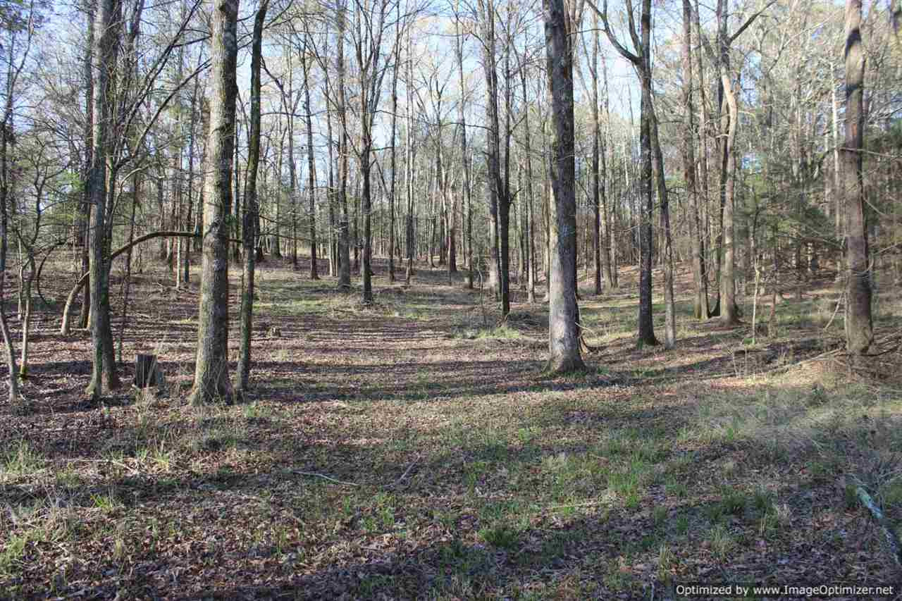 301 Shrock Road Pickens, MS 39146 - Photo 8 of 18 Photo 8