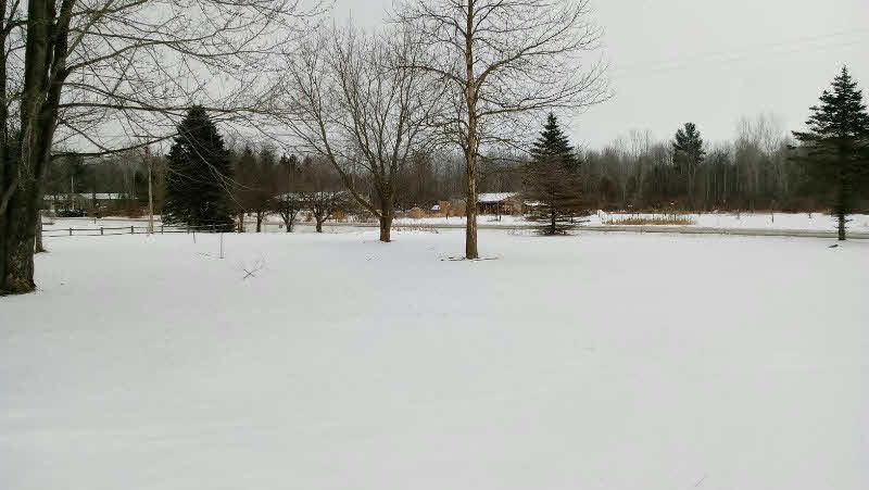 3511 North Flajole Road Rhodes, MI 48652 - Photo 5 of 54