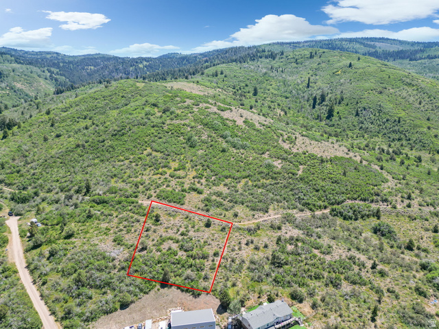 2459 Painter Road Marion, UT 84036 - Photo 7 of 42 Expansive undeveloped parcel outlined in red, featuring natural vegetation and varying topography