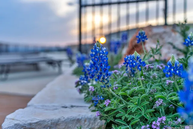 $135,000 | Tbd Lot 202 Westridge Way, Kingsland, TX 78639