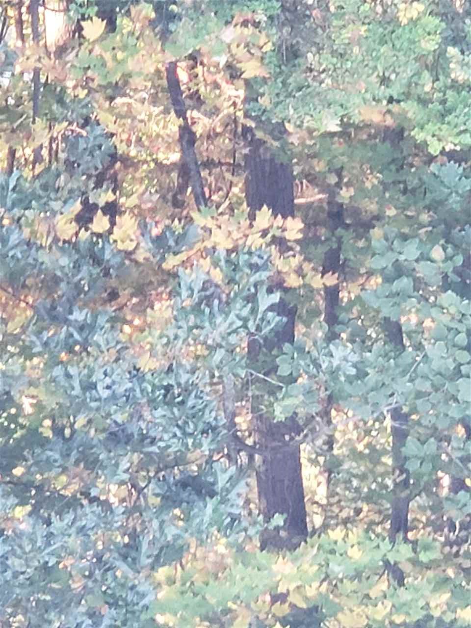 Sawyer Road, Unit 102 Weare, NH 03281 - Photo 1 of 1