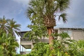 a view of a palm trees in front of a house