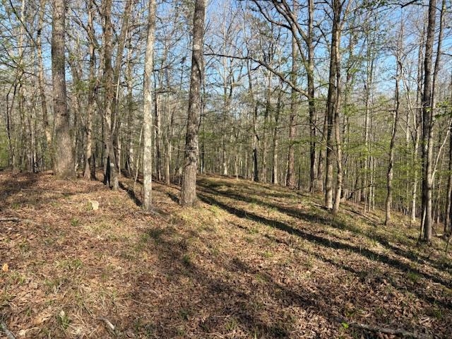 0 Gooch Store Road Hornsby, TN 38044 - Photo 8 of 9 Gallery Image 8