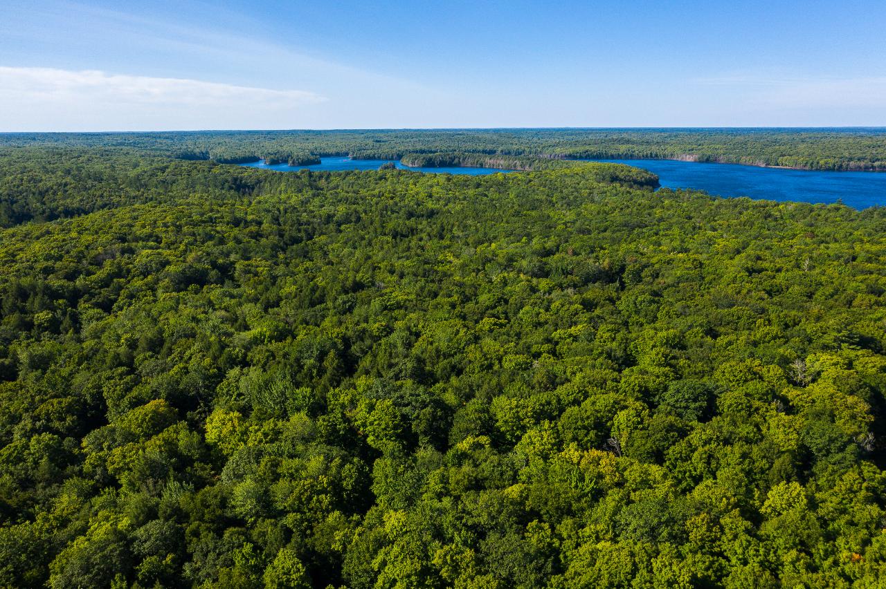6070 West Forest Lake Road Land O'Lakes, WI 54540 - Photo 68 of 81 Gallery Image 68