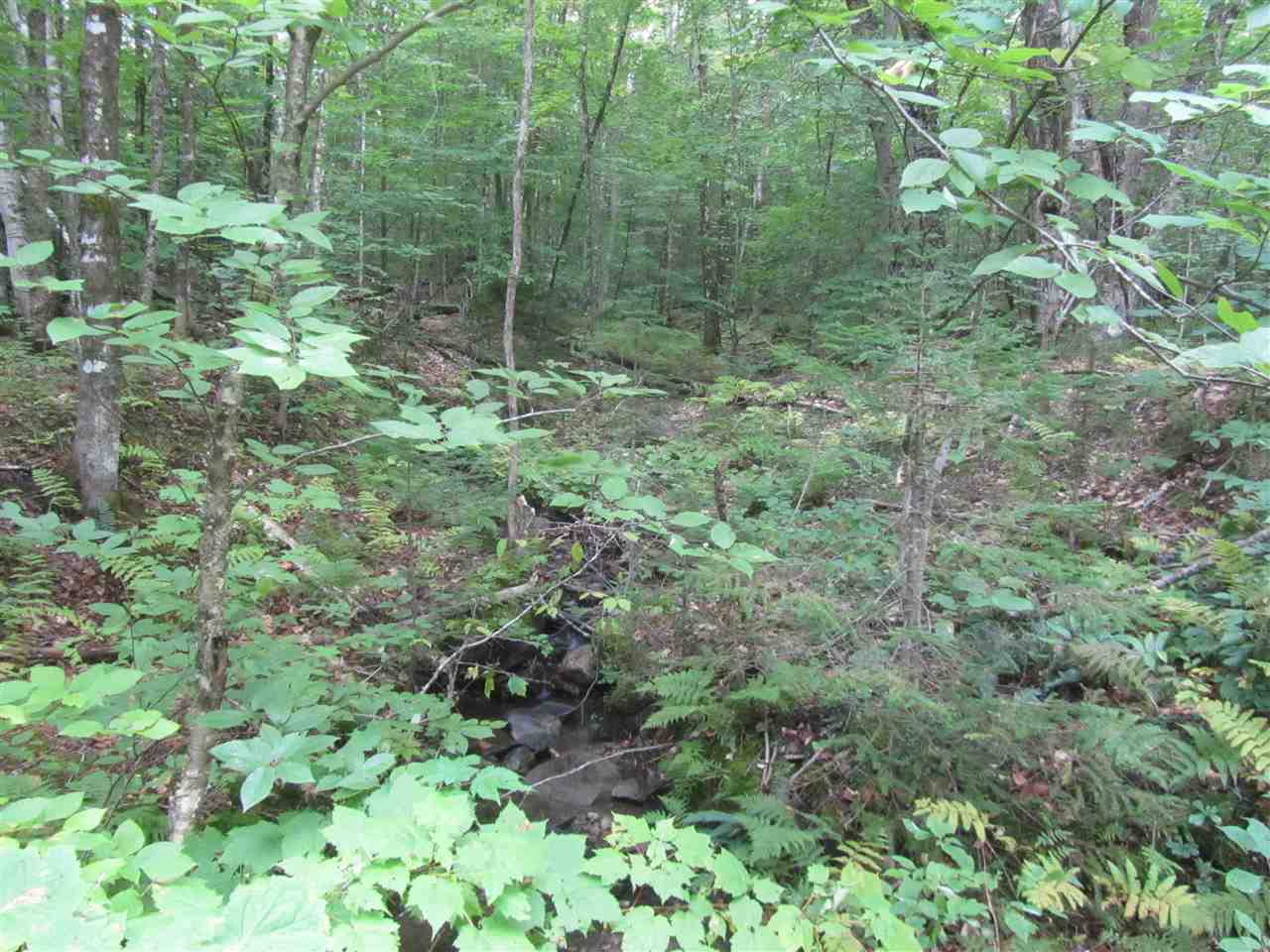 412 Strafford Road Tunbridge, VT 05077 - Photo 1 of 1