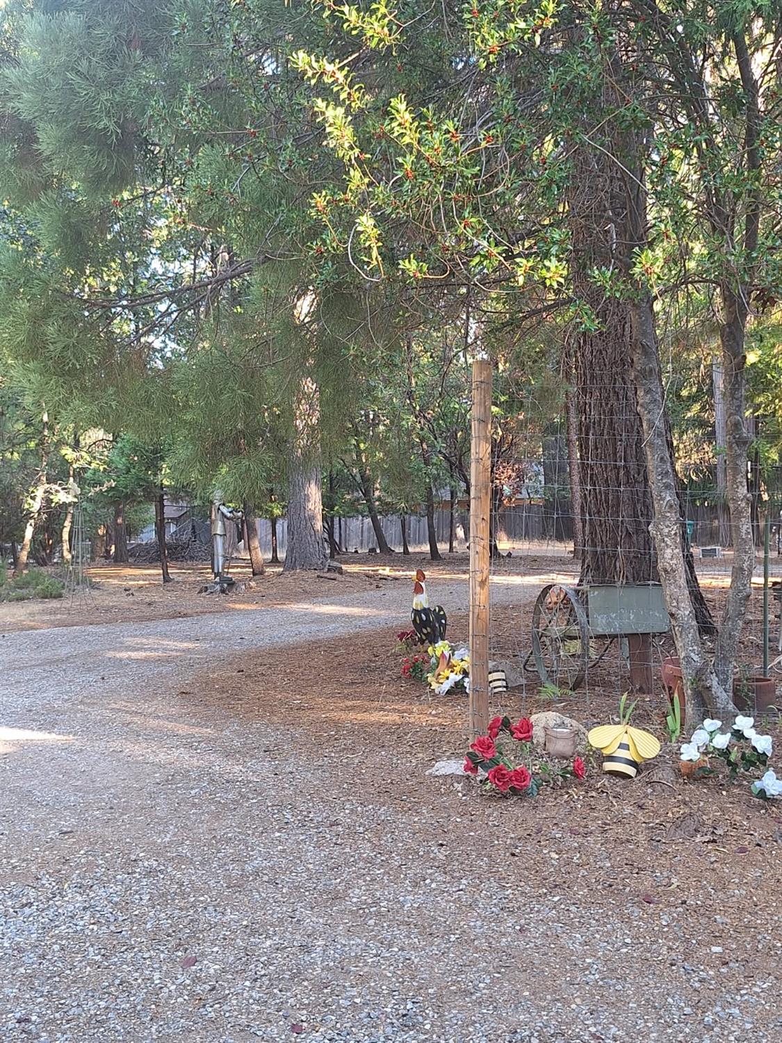 5695 Juarez Road Pollock Pines, CA 95726 - Photo 26 of 28
