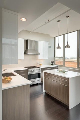 720 West Randolph Street, Unit PH7 Chicago, IL 60661 - Photo 7 of 18 a kitchen with stainless steel appliances a stove sink and cabinets