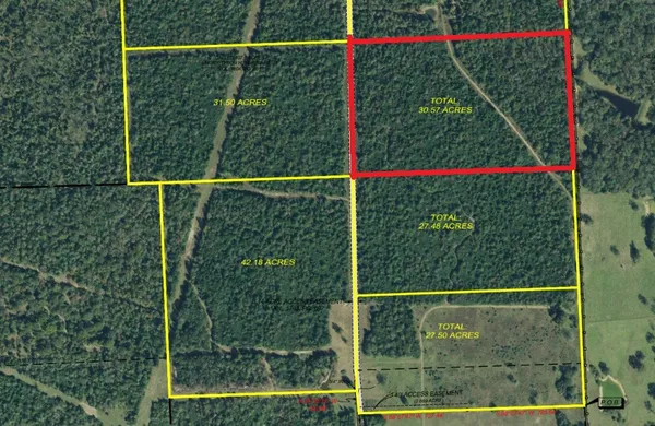 a view of a small yard