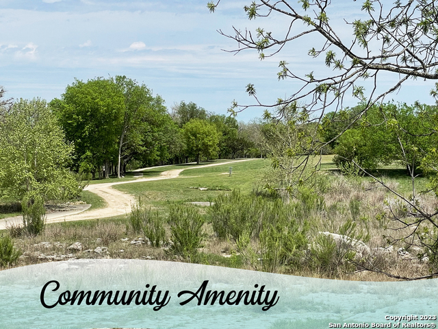 327 Salt Grass Trail Bandera, TX 78003 - Photo 13 of 22