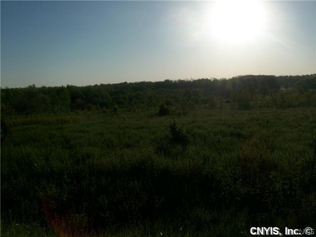 8996 Prine Road Lysander, NY 13027 - Photo 1 of 1 Land