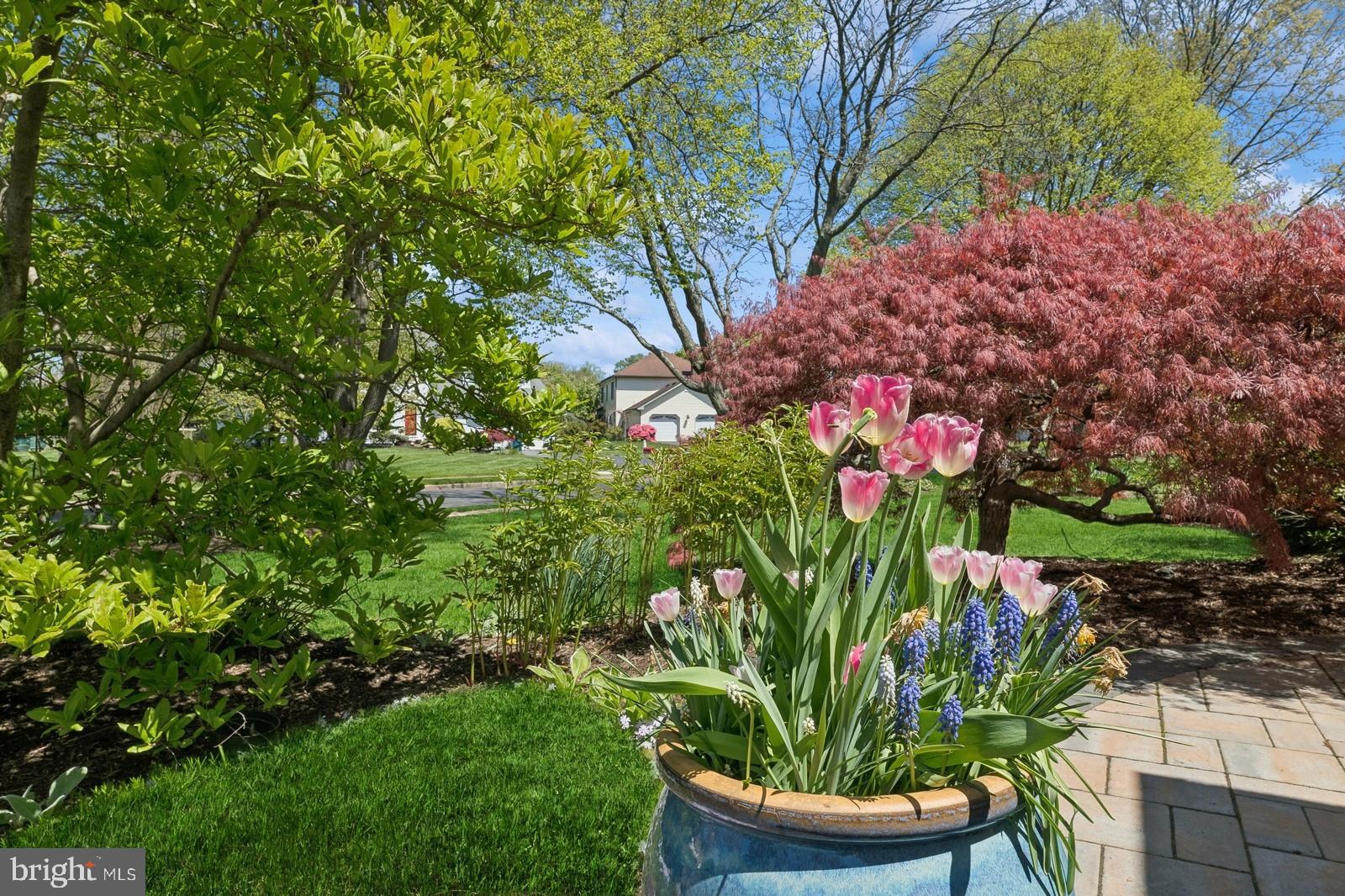 11 Rutledge Court Plainsboro, NJ 08536 - Photo 5 of 72 Gallery Image 5
