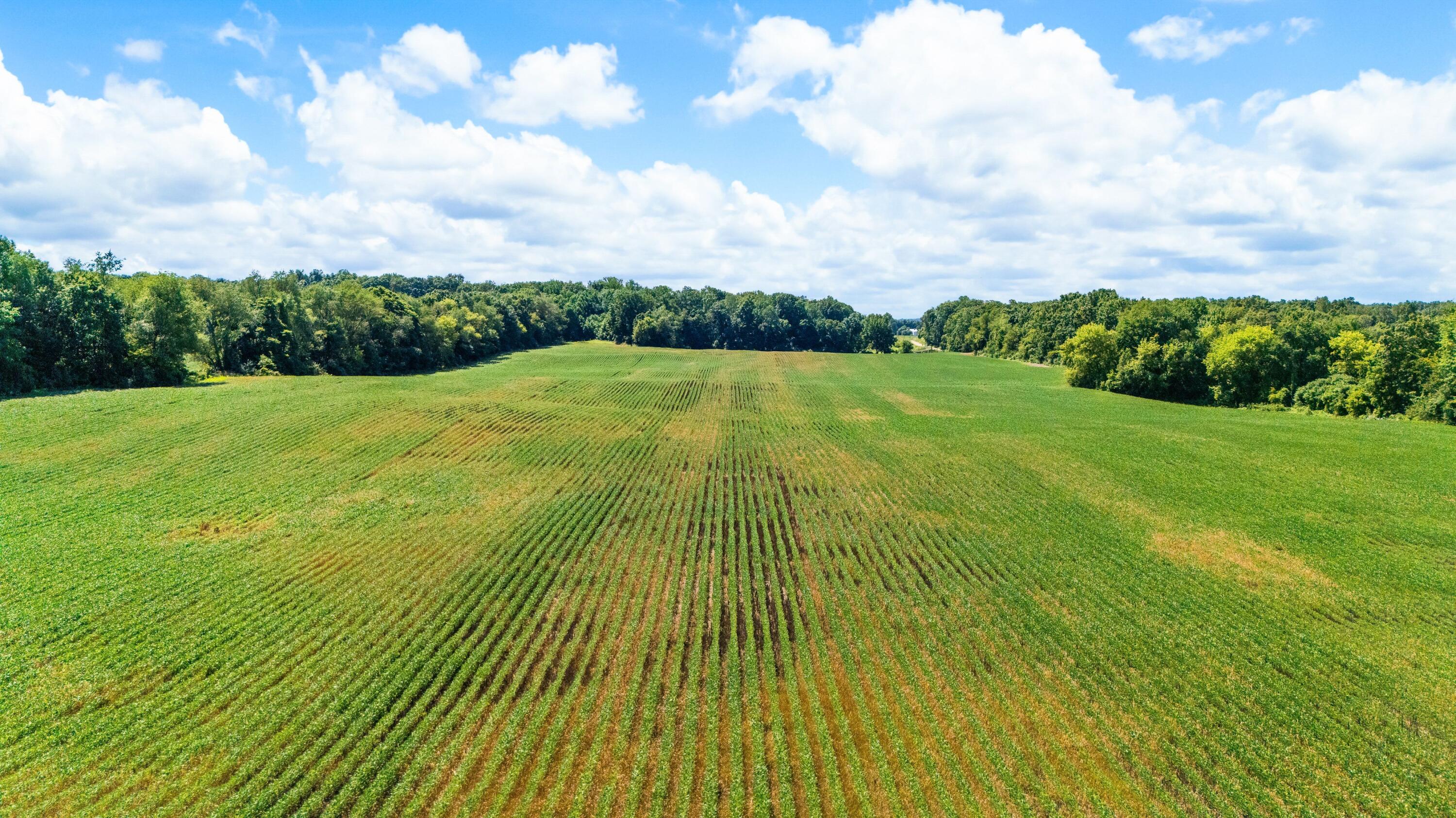 12753 Bliss Road Marcellus, MI 49067 - Photo 24 of 45 21DJI_20260803121501_0025_D