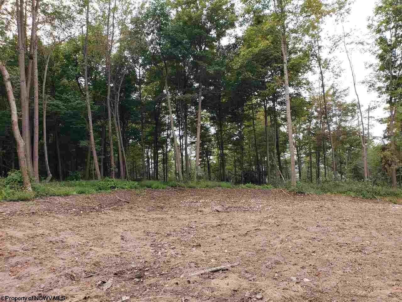 52.2-acres Coal Lick Road Albright, WV 26519 - Photo 3 of 9 Gallery Image 3