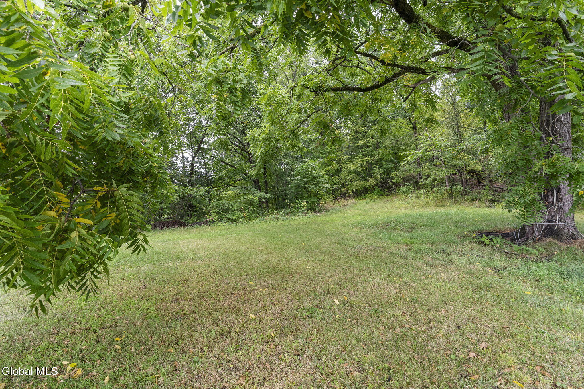 52 Boght Road Watervliet, NY 12189 - Photo 50 of 50 50-web-or-mls-52-boght-rd