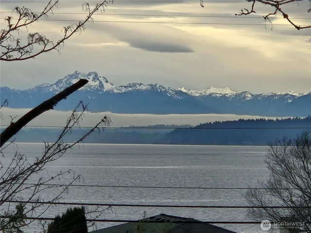 a view of a couches in the back of a house