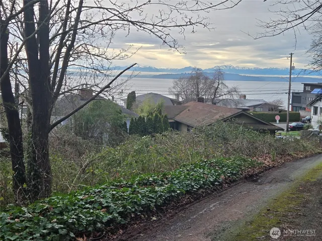 a view of a forest filled with trees