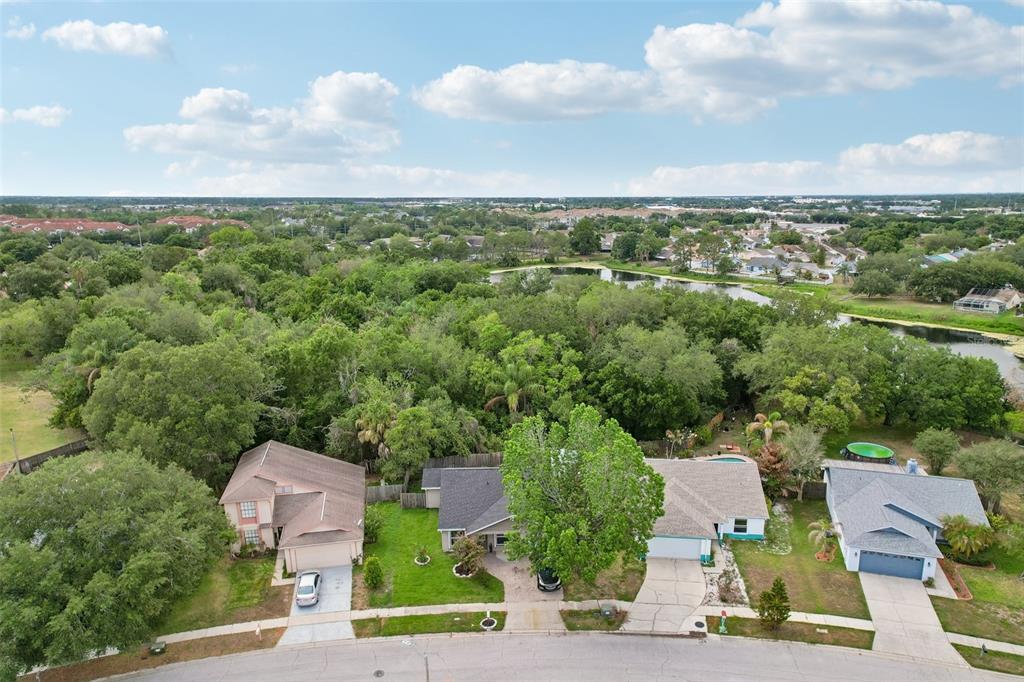 1525 Kestrel Way Brandon, FL 33511 - Photo 41 of 48 a view of a city